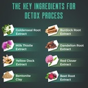 detox-cleanse-gummies-liver-gut-kidney-c-3.jpg