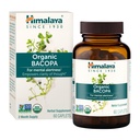himalaya-organic-bacopa-monnieri-nootrop-2.jpg