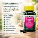 spring-valley-mini-prenatal-vitamins-for-3.jpg