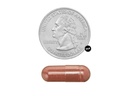spring-valley-red-yeast-rice-for-cholest-5.jpg
