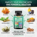 sea-moss-myo-inositol-bundle-32-in-1-her-5.jpg
