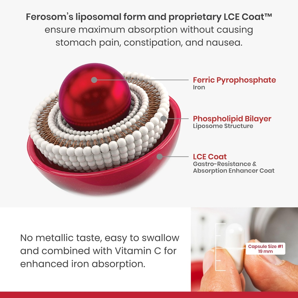 lce-liposomal-iron-capsules-30mg-element-2.jpg