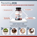 liposomal-iron-with-vitamin-c-folic-acid-5.jpg