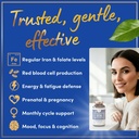 iron-and-folic-acid-supplements-for-wome-3.jpg