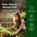 flora-iron-with-b-vitamin-complex-helps--3.jpg