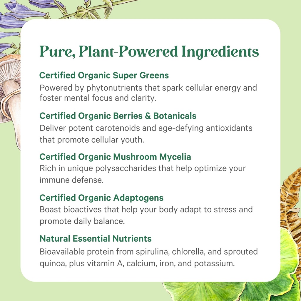 pure-synergy-organic-superfood-powder-gr-6.jpg