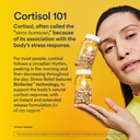 ritual-stress-relief-supplement-ashwagan-5.jpg
