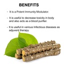 bixa-botanical-guduchi-powder-giloy-tino-2.jpg