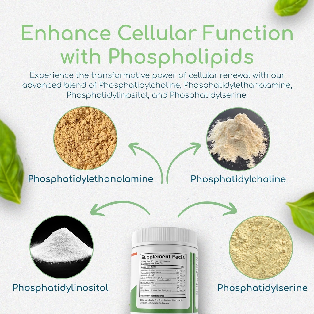 phospholipid-synergy-powder-antioxidant--3.jpg