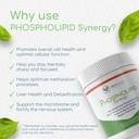 phospholipid-synergy-powder-antioxidant--6.jpg