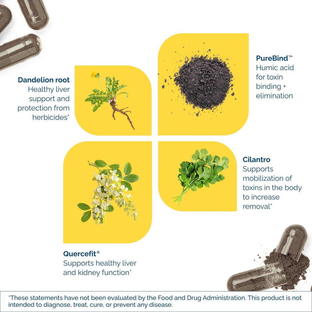 researched-nutritionals-toxinpul-kidney--6.jpg