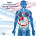 liver-cleanse-detox-detoxification-and-d-4.jpg