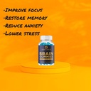 brain-supplements-for-memory-and-focus-n-2.jpg