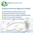 dhea-10-mg-micronized-supplement-dhea-fo-3.jpg