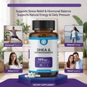dhea-ashwagandha-supplement-385mg-formul-6.jpg