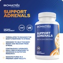 biomatrix-adrenal-fatigue-supplement-cor-4.jpg