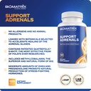 biomatrix-adrenal-fatigue-supplement-cor-3.jpg