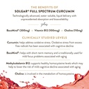 solgar-full-spectrum-curcumin-brain-work-5.jpg