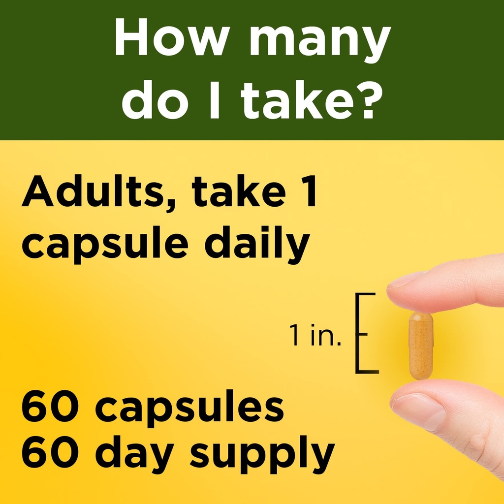 nature-made-turmeric-curcumin-500-mg-her-4.jpg