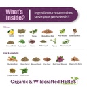 amber-naturalz-internal-gold-detox-kit-f-3.jpg