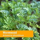 herb-pharm-wormwood-extract-certified-or-6.jpg
