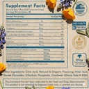 modern-antidote-modern-toxin-detox-powde-3.jpg