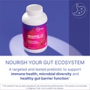 microbiome-labs-megapre-df-dairy-free-pr-2.jpg