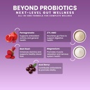 next-microbiome-boost-synergy-probiotic--6.jpg