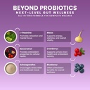 next-microbiome-boost-synergy-probiotic--5.jpg