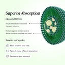 propolis-liposomal-vitamin-c-by-beekeepe-4.jpg