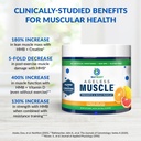 biotrust-ageless-muscle-builder-creatine-5.jpg