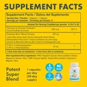 yes-you-can-appetite-support-for-body-we-4.jpg
