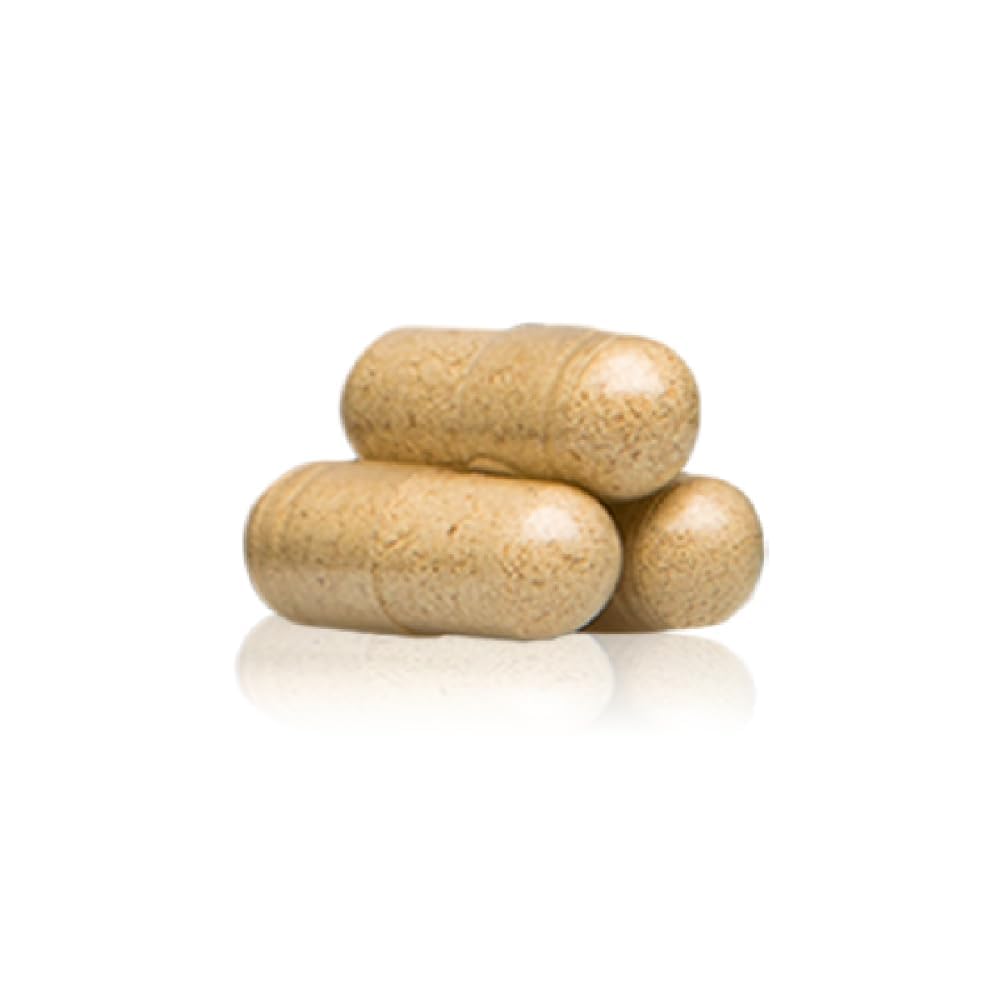 standard-process-gastro-fiber-prebiotic--4.jpg