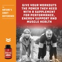 strong-garcinia-cambogia-extract-capsule-4.jpg