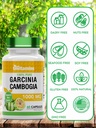 tnvitamins-garcinia-cambogia-extract-cap-4.jpg