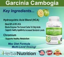 herbal-nutrition-garcinia-cambogia-for-w-3.jpg