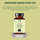 ayurvedashree-garcinia-extract-500mg-60--3.jpg