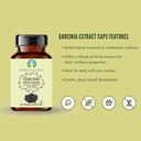ayurvedashree-garcinia-extract-500mg-60--4.jpg