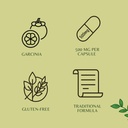 ayurvedashree-garcinia-extract-500mg-60--6.jpg