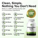 bifidobacterium-lactis-probiotic-240-tab-3.jpg