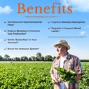 vitalitown-probiotics-120-billion-cfus-3-5.jpg
