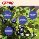 catalo-bilberry-eyebright-extract-gold-f-5.jpg