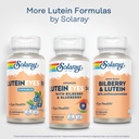 solaray-advanced-lutein-eyes-24-mg-lutei-6.jpg