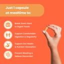 nutrachamps-digestive-enzymes-with-probi-5.jpg