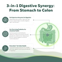 flora-digest-3-in-1-max-strength-digesti-6.jpg