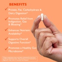 ast-enzymes-digest-gi-digestive-enzyme-d-4.jpg