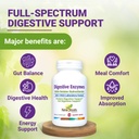 digestive-enzymes-with-ox-bile-and-betai-3.jpg