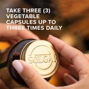solgar-l-glutamine-500-mg-100-vegetable--3.jpg