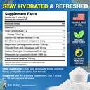 dr-berg-zero-sugar-hydration-keto-electr-3.jpg