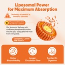 liposomal-turmeric-and-ginger-supplement-4.jpg